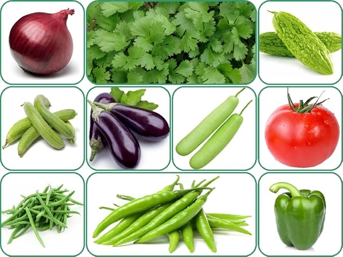 Fresh Organic Mixed Vegetables Combo Pack - Image 5