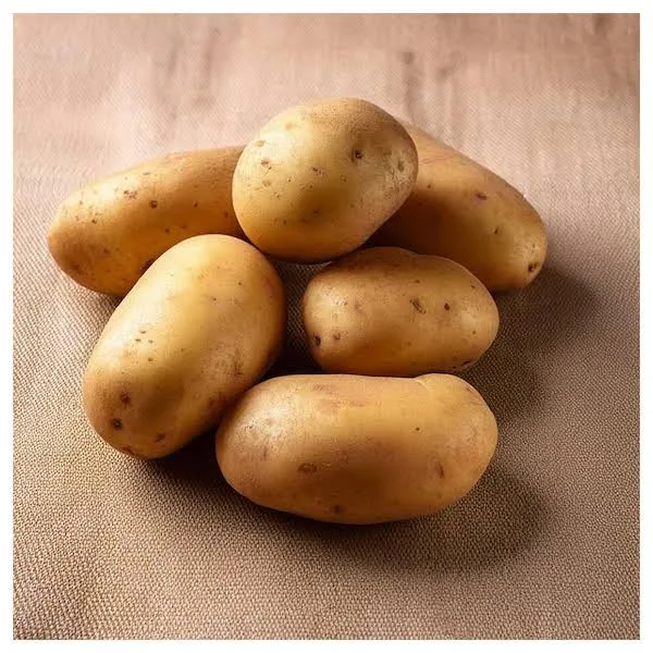 Fresh Root Vegetables Combo (Potato, Onion, Carrot, Beetroot) - Image 3